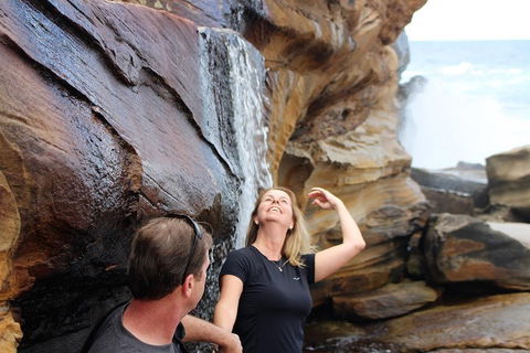 Royal National Park Tour - Accommodation Broome 4