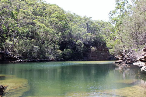Royal National Park Tour - Accommodation Broome 5