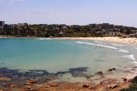 Half Day Manly Beach And More - Accommodation Broome 2