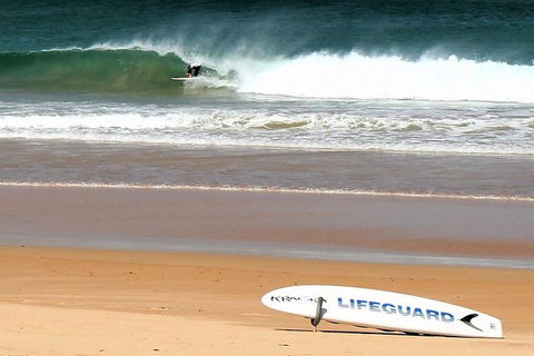 Half Day Manly Beach And More - Accommodation Broome 5