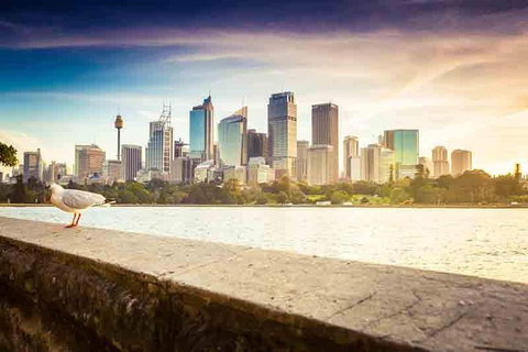 Private Sydney City And Bondi Beach Half Day Tour - Accommodation Broome 2