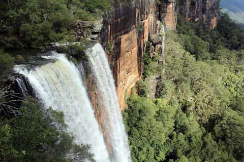 Private Grand Pacific Drive And Southern Highlands Tour - Accommodation Broome 1