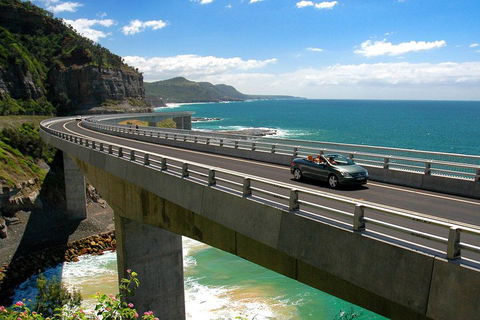 Private Grand Pacific Drive And Southern Highlands Tour - Accommodation Broome 5