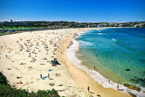 Sydney & Bondi Beach Plus Local Secrets With 'Personalised Sydney Tours' - Accommodation Broome 5