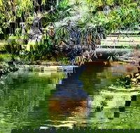 Discover Sydney - Botanic