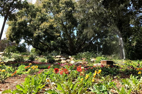 Discover Sydney - Botanic - Accommodation Broome 3
