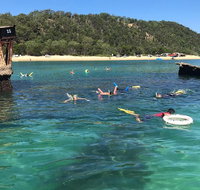 All Inclusive Dolphin and Tangalooma Wrecks Cruise - Accommodation Broome