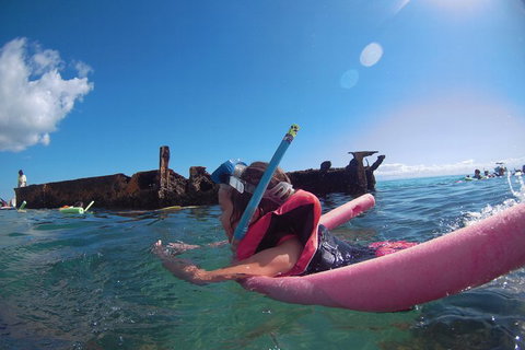 All Inclusive Dolphin And Tangalooma Wrecks Cruise - Accommodation Broome 2