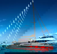 Passions of Paradise Great Barrier Reef Snorkel and Dive Cruise from Cairns by Luxury Catamaran - Accommodation Broome