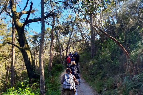 Self-Guided Waterfall Gully To Mount Lofty Hike From Adelaide - Accommodation Broome 1