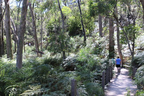 Self-Guided Waterfall Gully To Mount Lofty Hike From Adelaide - Accommodation Broome 2