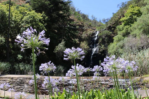 Self-Guided Waterfall Gully To Mount Lofty Hike From Adelaide - Accommodation Broome 3