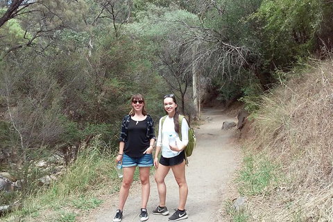Self-Guided Waterfall Gully To Mount Lofty Hike From Adelaide - Accommodation Broome 4