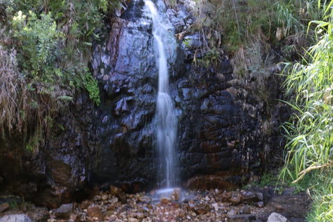 Self-Guided Waterfall Gully To Mount Lofty Hike From Adelaide - Accommodation Broome 5