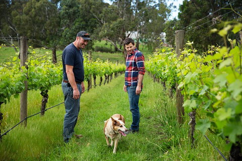 LGBT+ Friendly Full Day Yarra Valley & Dandenong Ranges Private Tour - Accommodation Broome 4