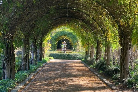 LGBT+ Friendly Full Day Yarra Valley & Dandenong Ranges Private Tour - Accommodation Broome 5