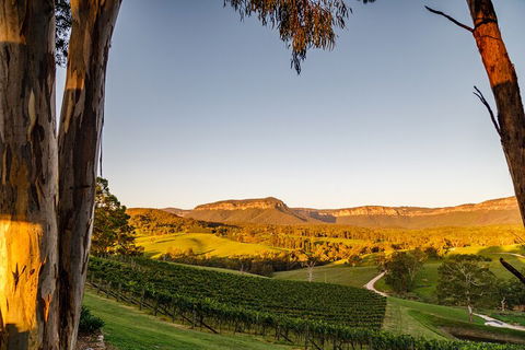Taste Of The Blue Mountains - Lunch & Wine Tasting, Beer, Cider & Gin Tasting - Accommodation Broome 1