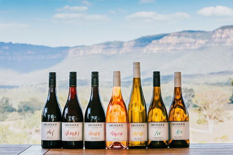 Taste Of The Blue Mountains - Lunch & Wine Tasting, Beer, Cider & Gin Tasting - Accommodation Broome 3