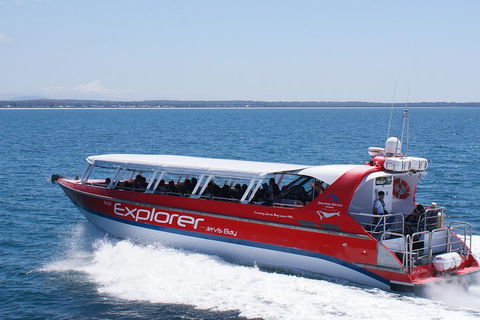 Whale Watching Jervis Bay - Accommodation Broome 1