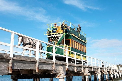 6 Days Adelaide All-Inclusive Touring Package - Accommodation Broome 2