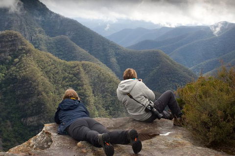 Inside The Greater Blue Mountains World Heritage - A Private Wildlife Safari Overnight - Accommodation Broome 0
