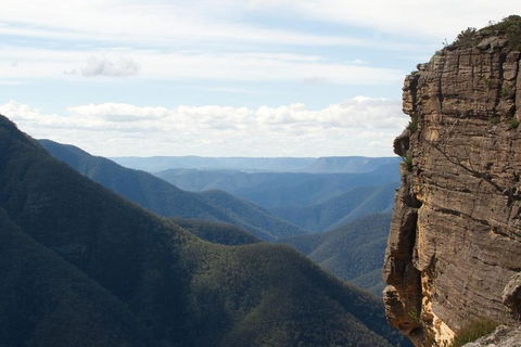 Inside The Greater Blue Mountains World Heritage - A Private Wildlife Safari Overnight - Accommodation Broome 4