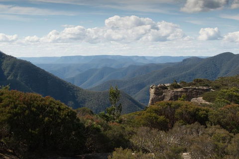 Inside The Greater Blue Mountains World Heritage - A Private Wildlife Safari Overnight - Accommodation Broome 5