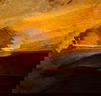 From the Mountains to the Bay - 4 Day Rediscovery Small Group Tour