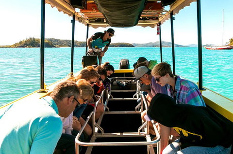 Airlie Beach Glass Bottom Boat Tour - Accommodation Broome 1