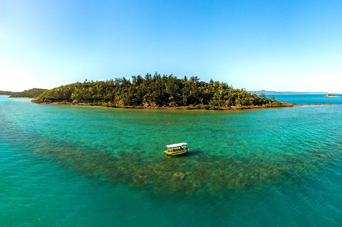 Airlie Beach Glass Bottom Boat Tour - Accommodation Broome 3