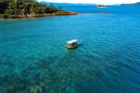 Airlie Beach Glass Bottom Boat Tour - Accommodation Broome 4