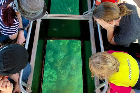 Airlie Beach Glass Bottom Boat Tour - Accommodation Broome 5