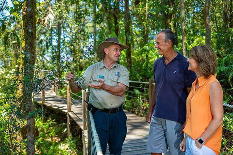 Kuranda Scenic Railway Day Trip From Cairns - Accommodation Broome 1