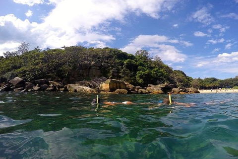 Manly And Shelly Beach Snorkeling Tour - Accommodation Broome 4