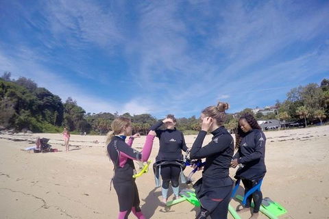 Manly And Shelly Beach Snorkeling Tour - Accommodation Broome 5