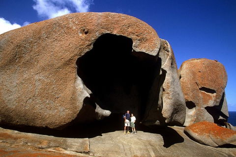 Full-Day Kangaroo Island Safari From Penneshaw - Accommodation Broome 0
