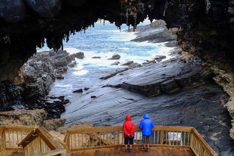 Full-Day Kangaroo Island Safari From Penneshaw - Accommodation Broome 1