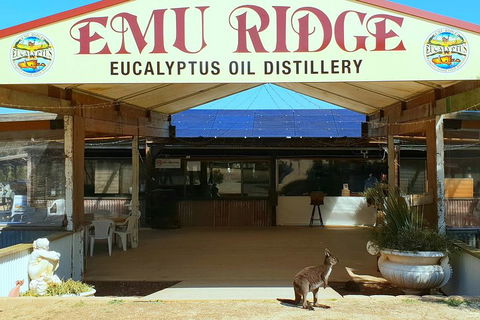 Full-Day Kangaroo Island Safari From Penneshaw - Accommodation Broome 2