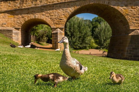 Richmond Historic Afternoon Tour From Hobart - Accommodation Broome 1