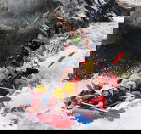Barron Gorge National Park Half-Day White Water Rafting from Cairns or Port Douglas - Accommodation Broome