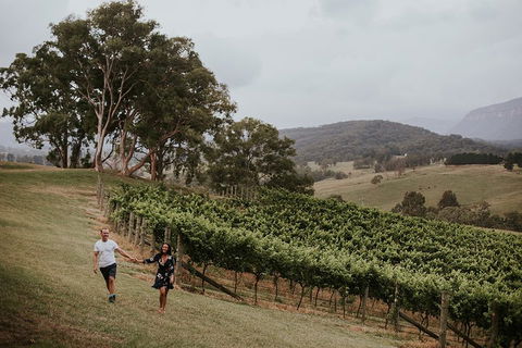 Luxury Blue Mountains Tour With Aussie BBQ Lunch And Wine Tasting - Accommodation Broome 3