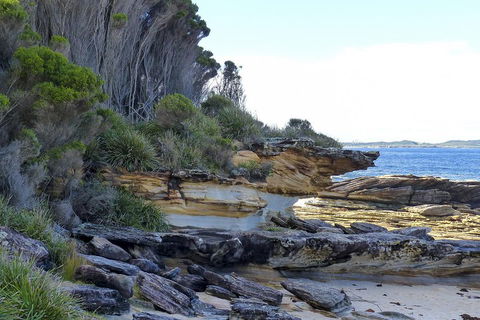 Day Trip To Cronulla & The Royal National Park - Accommodation Broome 4