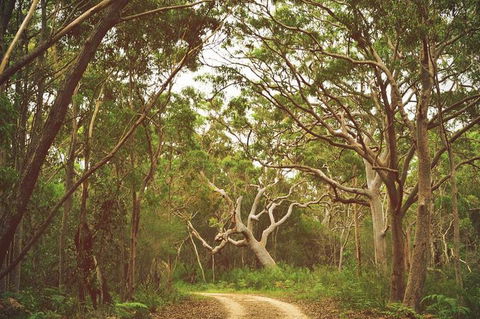 Day Trip To Cronulla & The Royal National Park - Accommodation Broome 5