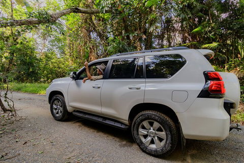 Full Day Cooktown Private Tour - Accommodation Broome 3