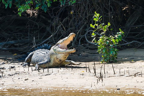 Full Day Cooktown Private Tour - Accommodation Broome 4