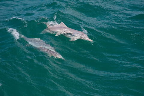 North Stradbroke Island Private Tour With Pickup - Accommodation Broome 0