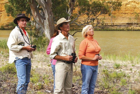 4-Night Murray River Cruise By Classic Paddle Wheeler PS Murray Princess - Accommodation Broome 2
