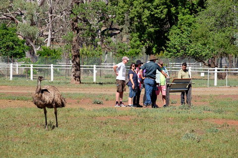 Yura Udnyu - Our Culture, Your Culture (Aboriginal Cultural Walk) - Accommodation Broome 1