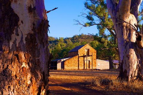 Yura Udnyu - Our Culture, Your Culture (Aboriginal Cultural Walk) - Accommodation Broome 4