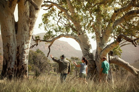 Yura Udnyu - Our Culture, Your Culture (Aboriginal Cultural Walk) - Accommodation Broome 5